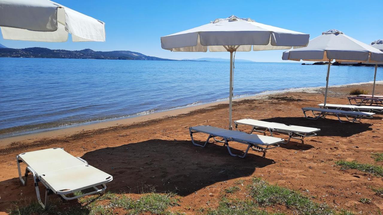 Alekos Beach Houses-Alekos Beach Complex Lixouri Esterno foto